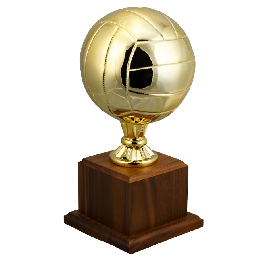 Volleyball Replica Sport Ball Award