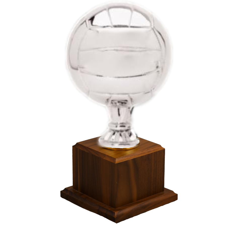 Volleyball Replica Sport Ball Award