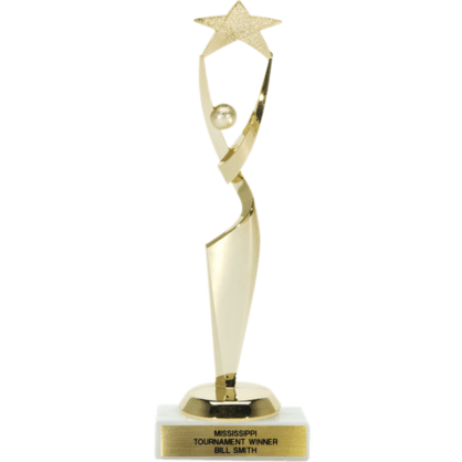 Star Achievement Trophy